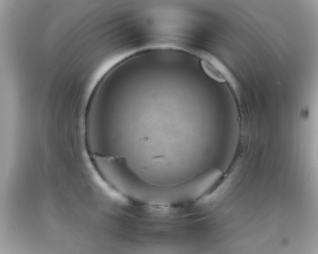 X0000092070951200709121413