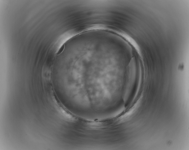 X0000092070953200709121413