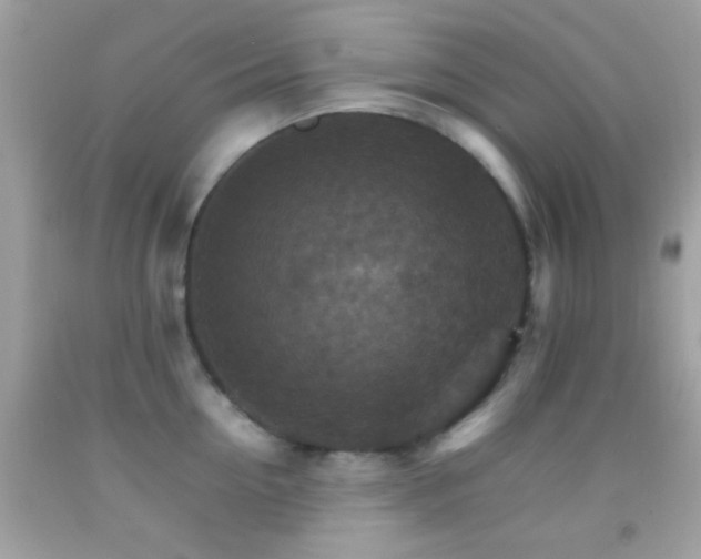 X0000092070954200709121413