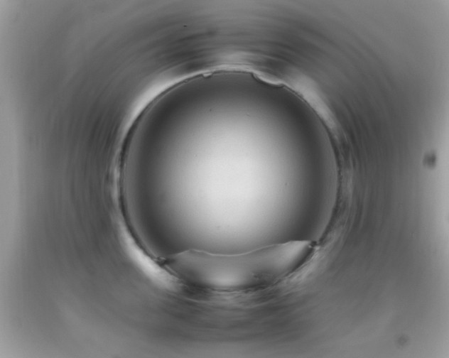 X0000092070955200709121413
