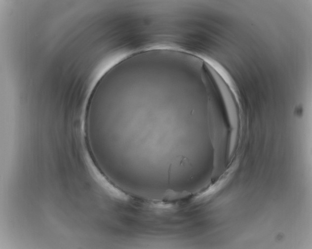 X0000092070957200709121413