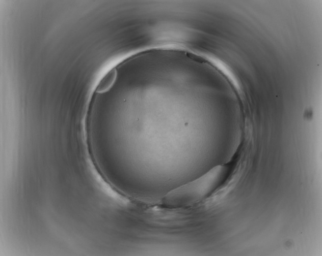 X0000092070959200709121413