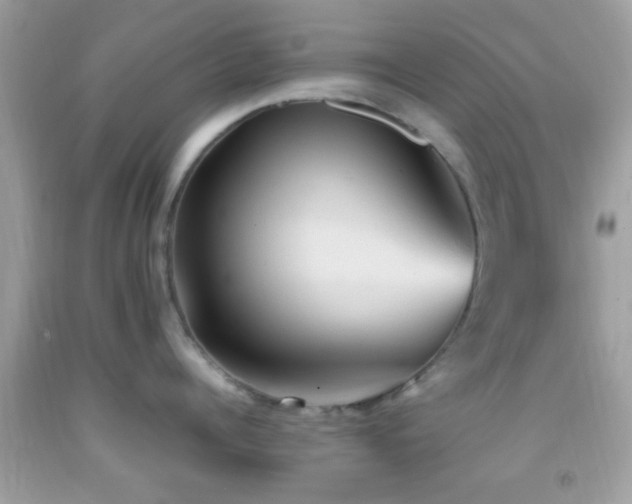 X0000092070960200709121413