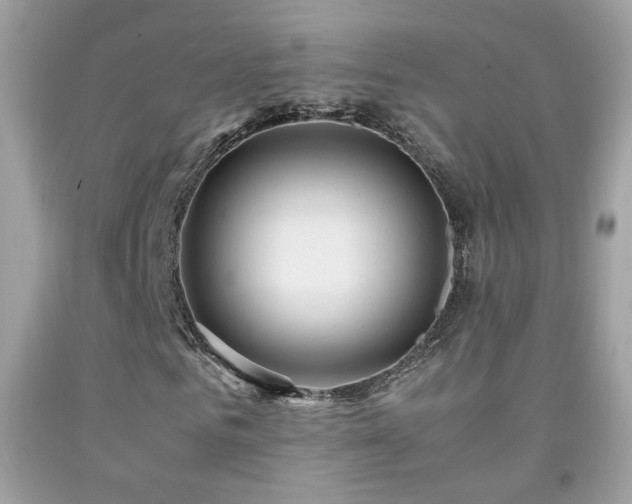 X0000092070961200709121413