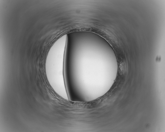 X0000092070963200709121413