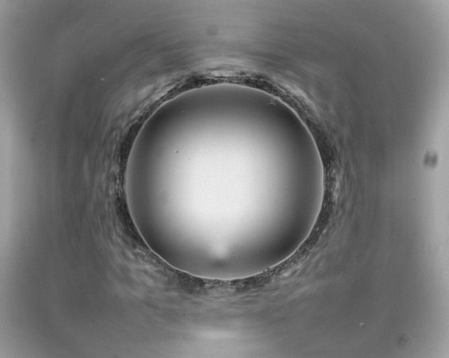 X0000092070965200709121413