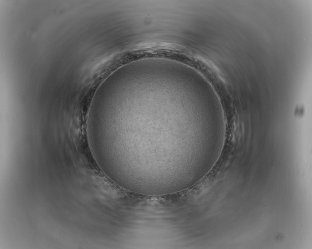 X0000092070966200709121413