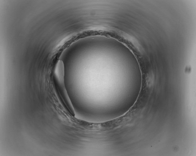 X0000092070968200709121413