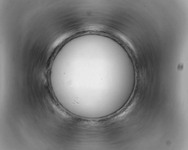 X0000092070970200709121413