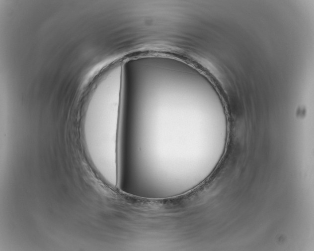 X0000092070971200709121413