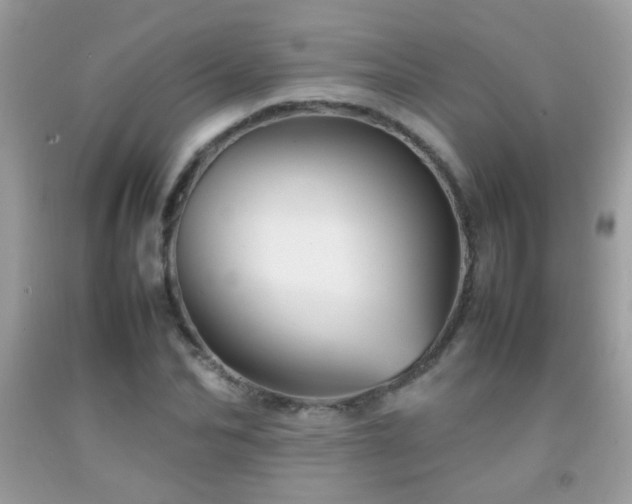 X0000092070974200709121413
