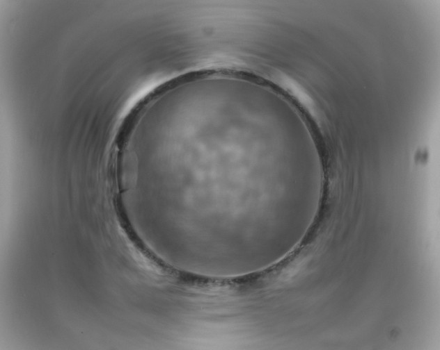 X0000092070975200709121413