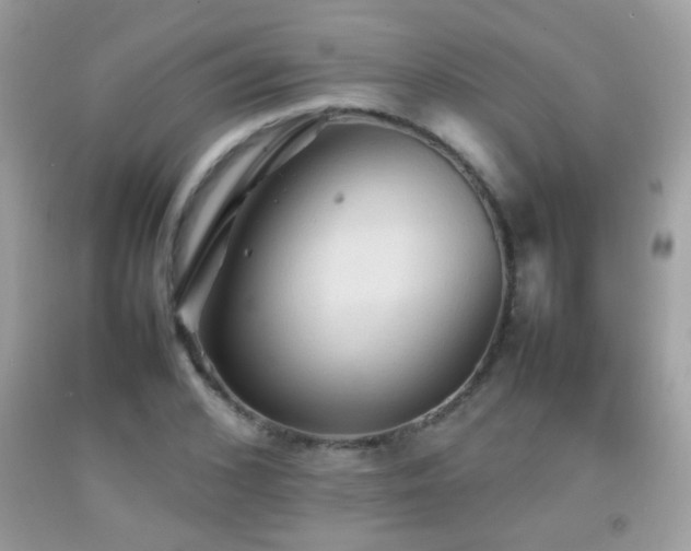 X0000092070976200709121413