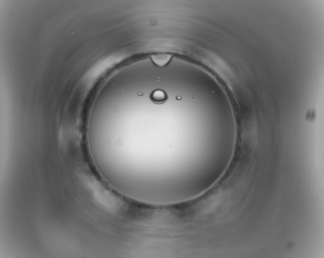 X0000092070979200709121413