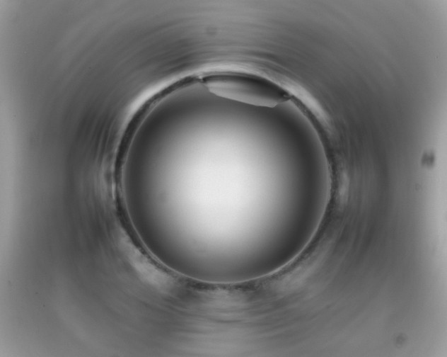 X0000092070980200709121413