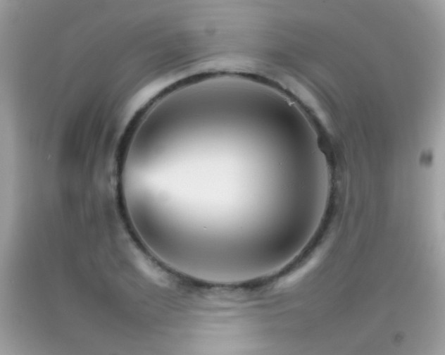 X0000092070981200709121413