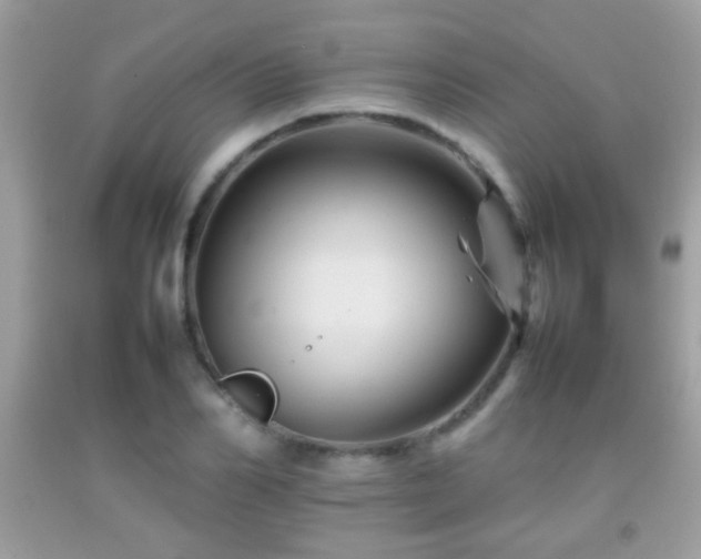X0000092070982200709121413