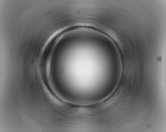 X0000092070984200709121412