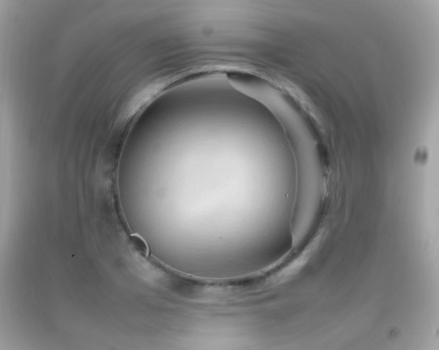 X0000092070985200709121412