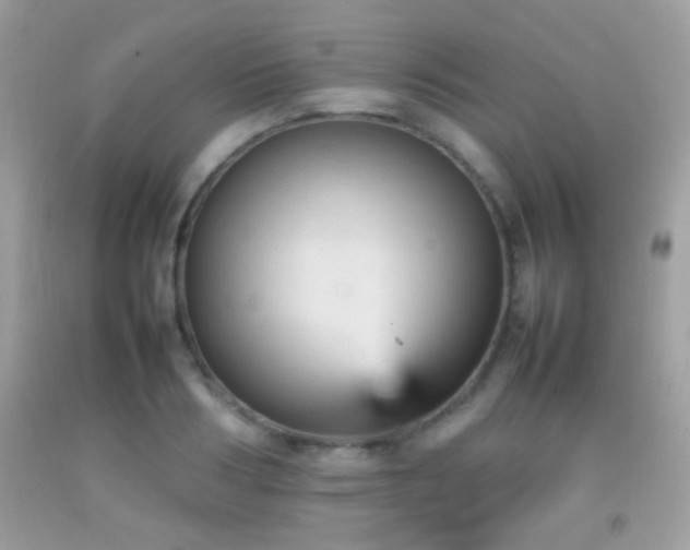 X0000092070986200709121412