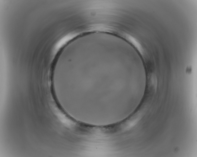 X0000092070987200709121412