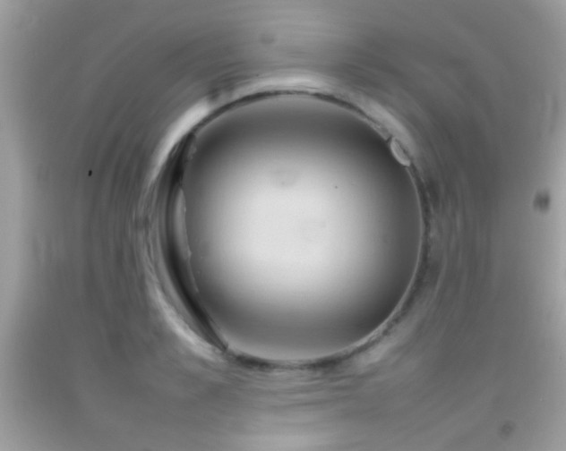 X0000092070989200709121412