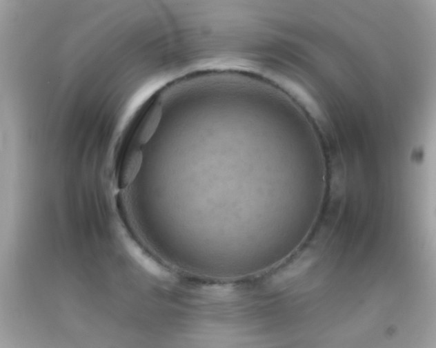 X0000092070990200709121412
