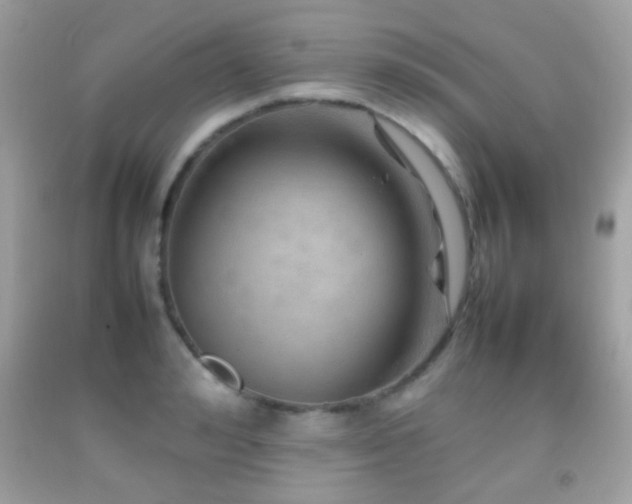 X0000092070992200709121412