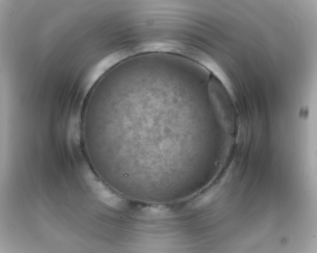 X0000092070994200709121412