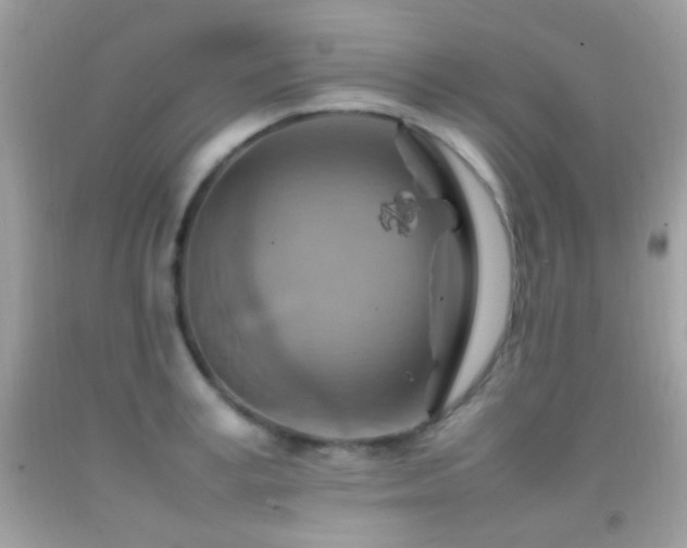 X0000092070995200709121412