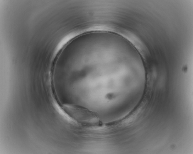 X0000092070998200709121412