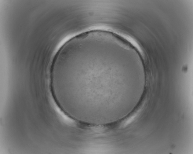 X0000092070999200709121412