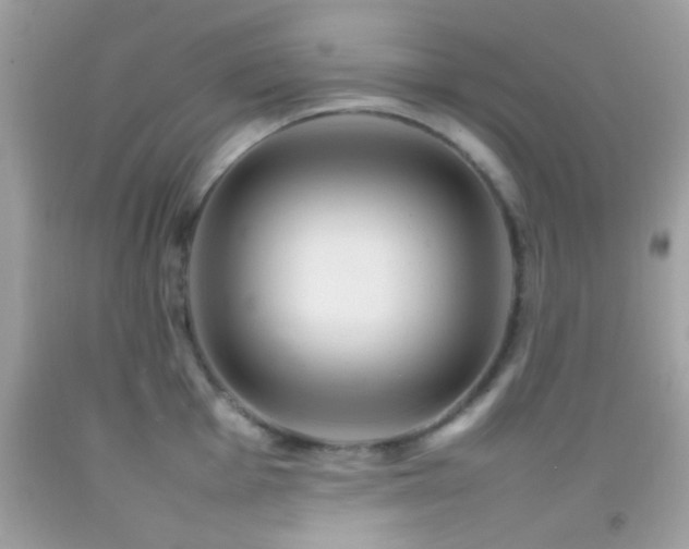 X0000092071001200709121412