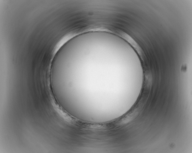 X0000092071002200709121412