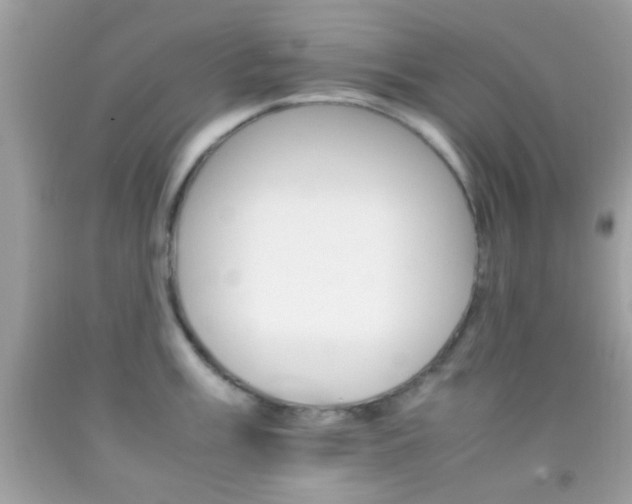 X0000092071003200709121412