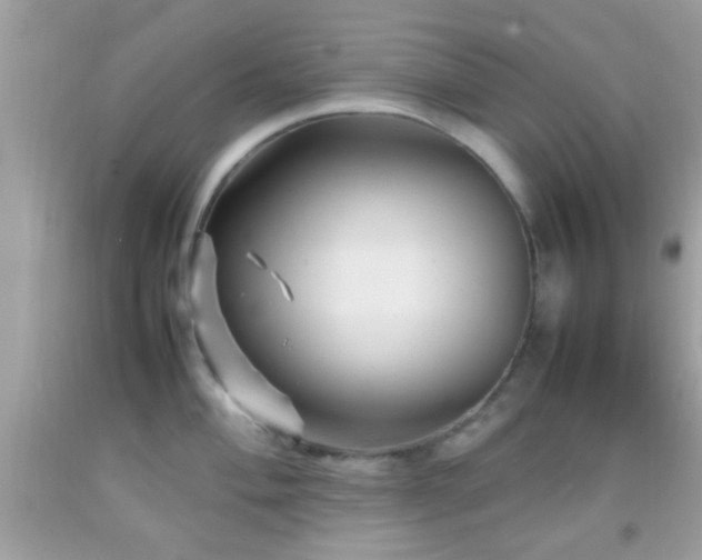 X0000092071004200709121412