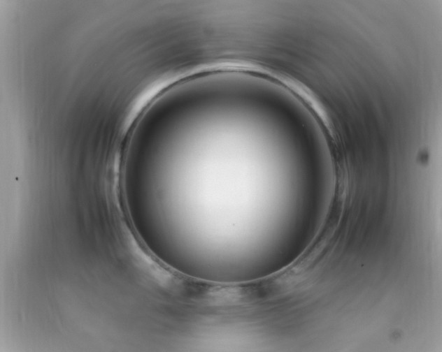 X0000092071006200709121412