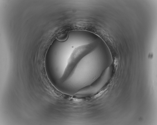X0000092071009200709121412