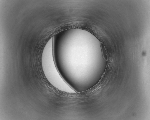 X0000092071010200709121412