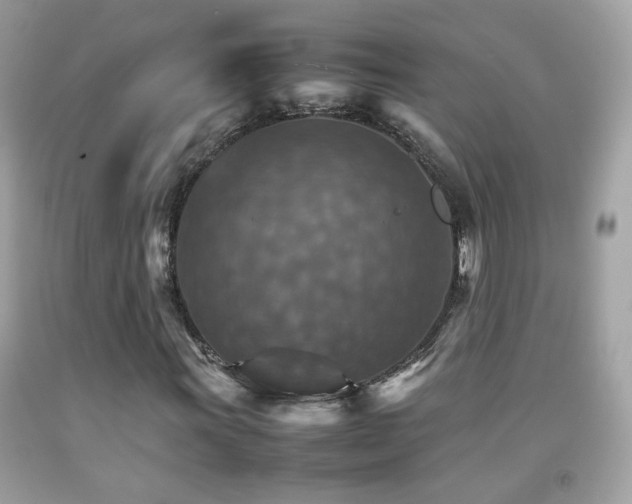 X0000092071011200709121412