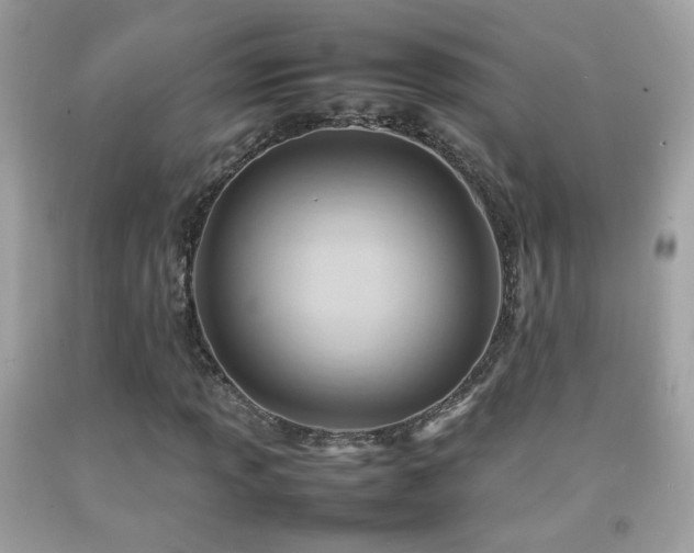 X0000092071013200709121412