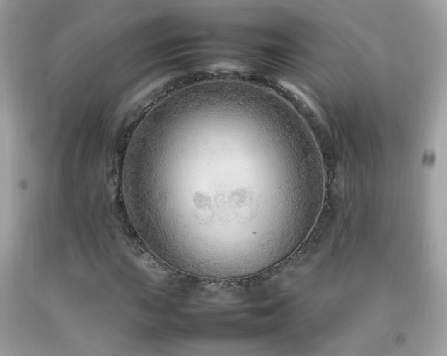 X0000092071015200709121412
