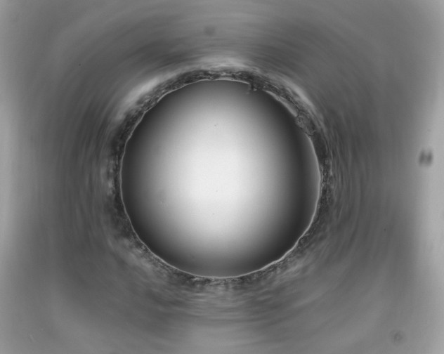 X0000092071016200709121412