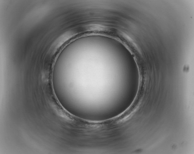 X0000092071017200709121412