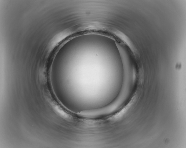 X0000092071018200709121412