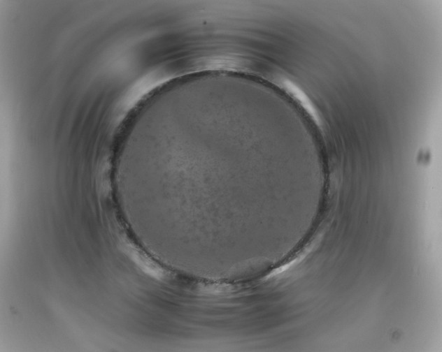 X0000092071019200709121412