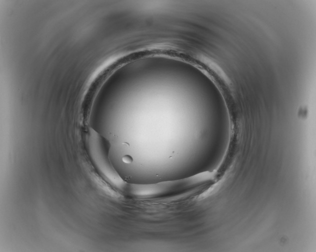 X0000092071021200709121412