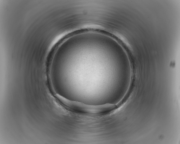 X0000092071022200709121412