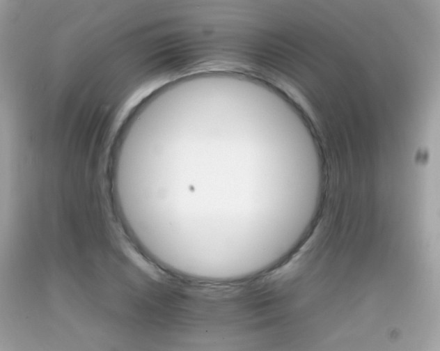 X0000092071026200709121412