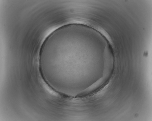 X0000092071028200709121412
